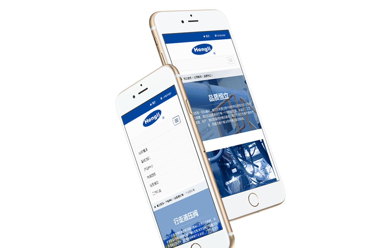 恒立液压集团形象官网设计 恒立液压集团形象官网设计