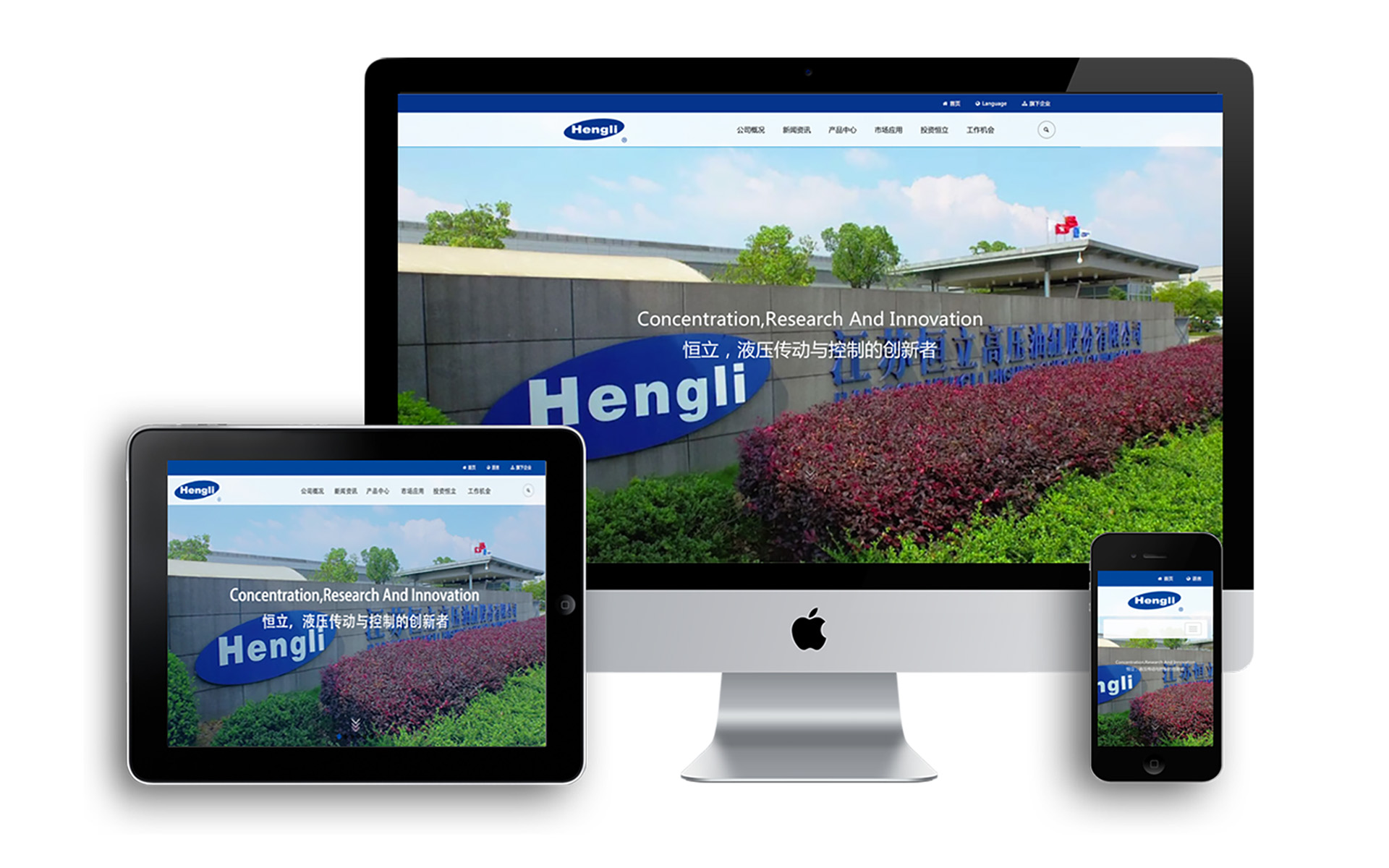 恒立网站设计网站制作 恒立网站设计网站制作