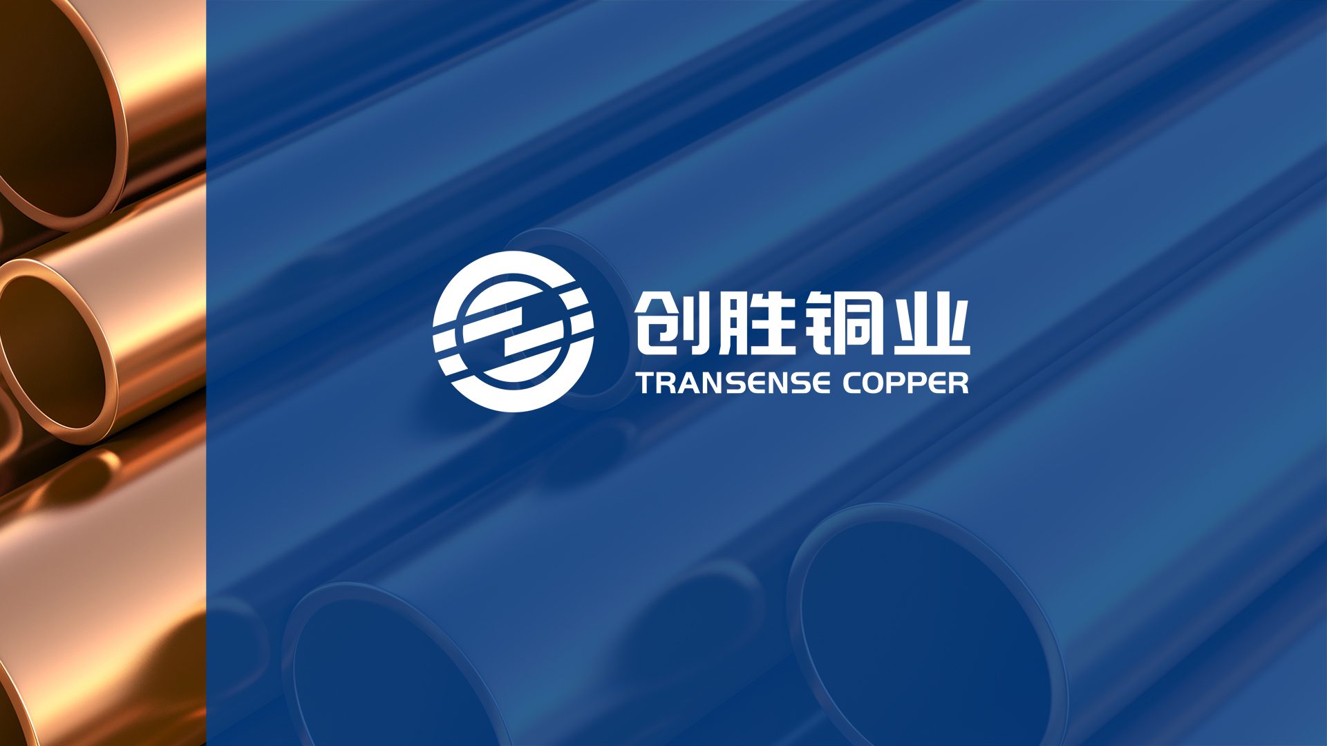 常州广告公司-九洲创胜logo设计品牌设计