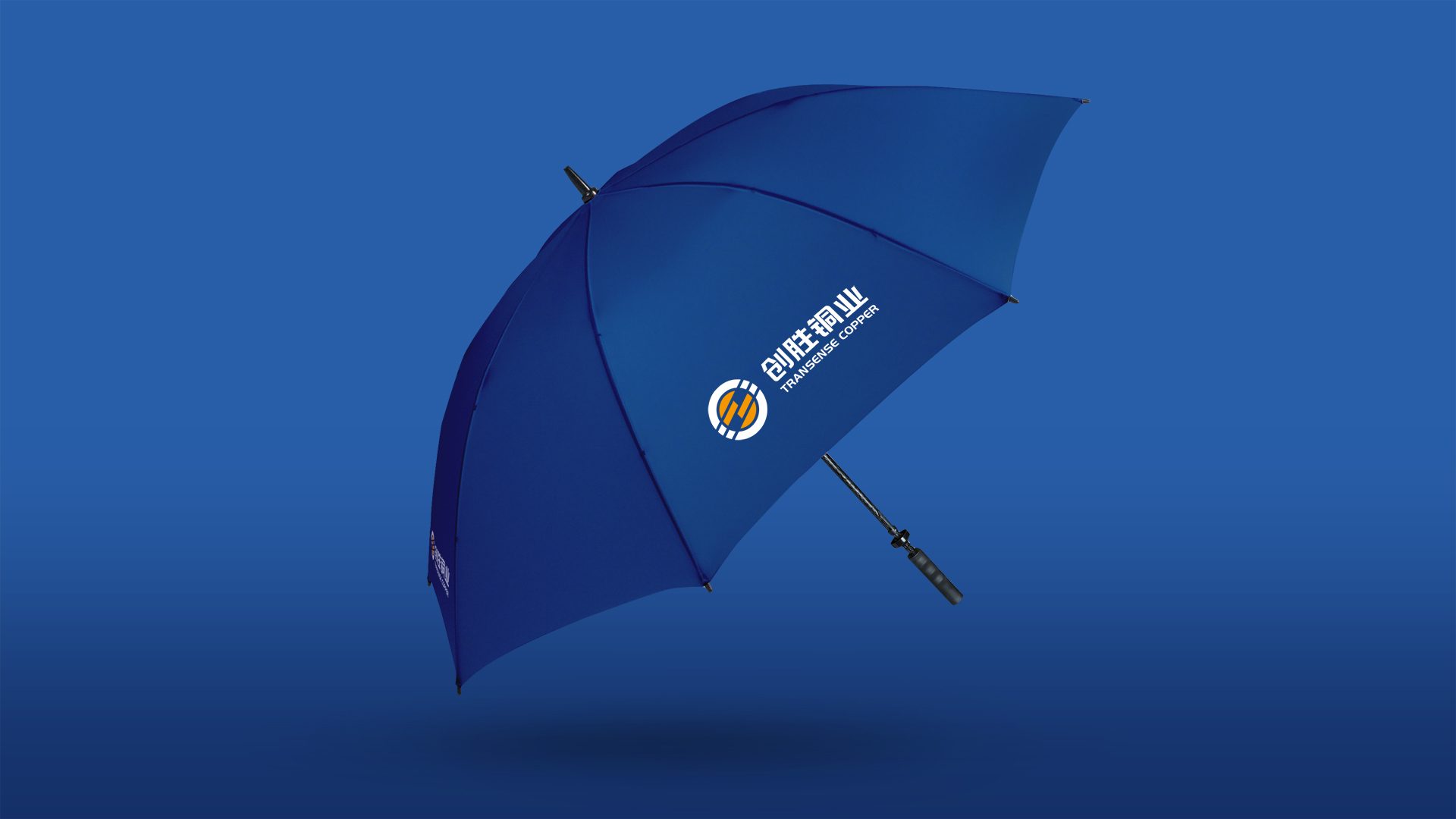 常州广告公司-九洲创胜logo设计品牌设计