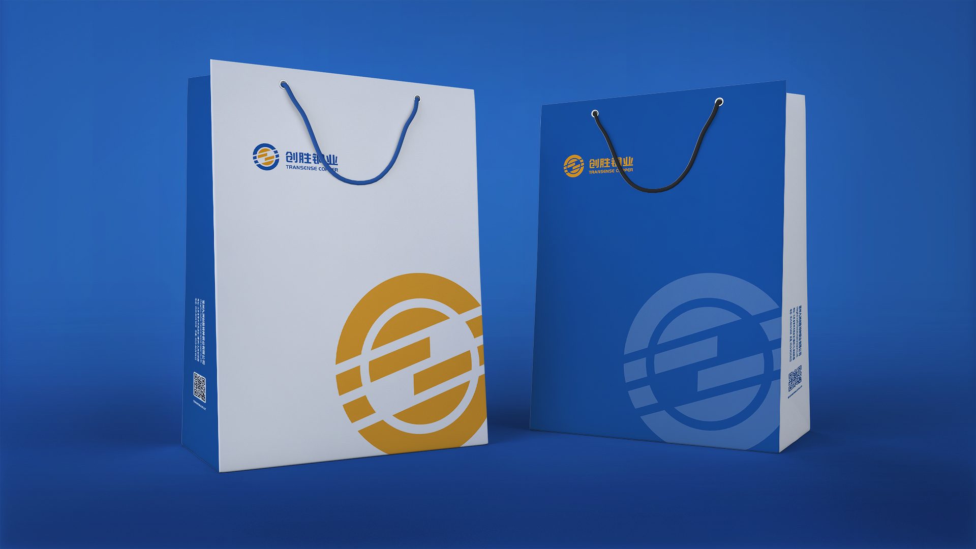 常州广告公司-九洲创胜logo设计品牌设计